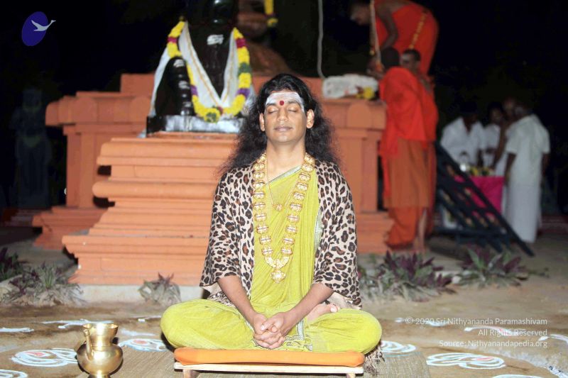 File:20101220IMG 6586 CMP WM0010.jpg