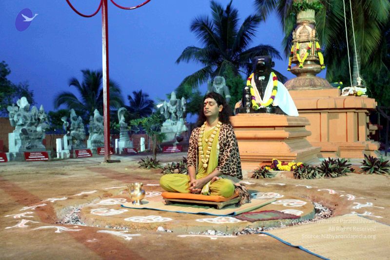 File:20101220IMG 6638 CMP WM0010.jpg