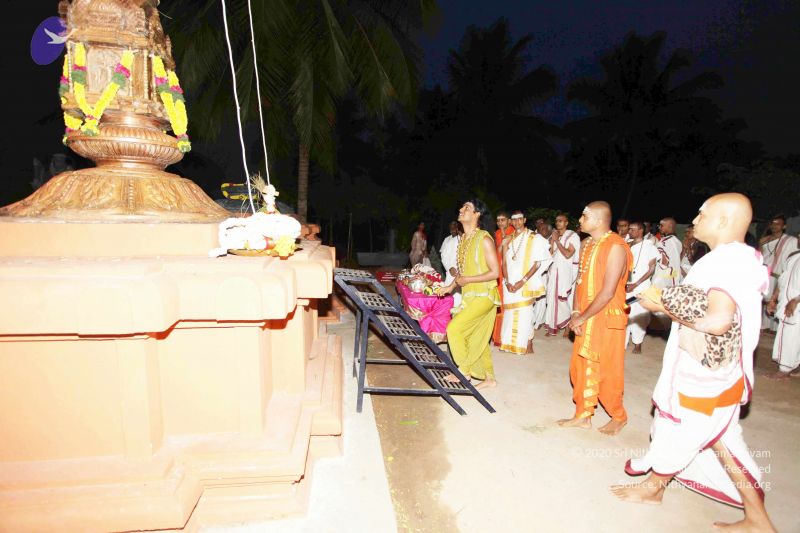 File:20101220IMG 6654 CMP WM0010.jpg