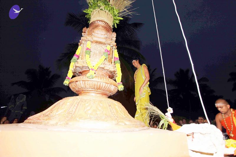 File:20101220IMG 6661 CMP WM0010.jpg