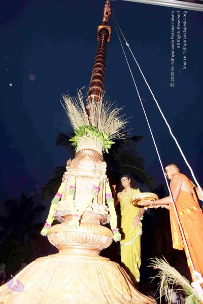 File:20101220IMG 6673 CMP WM0010.jpg