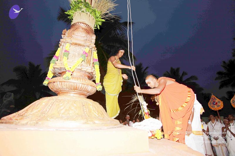 File:20101220IMG 6675 CMP WM0010.jpg