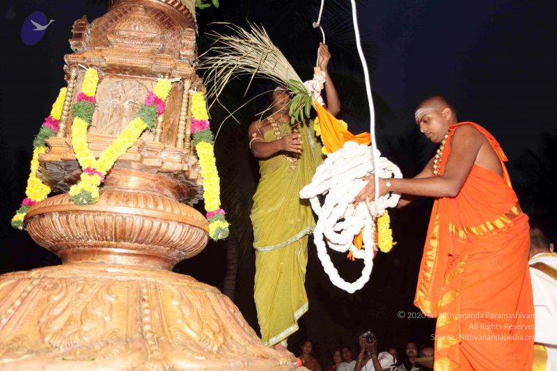 File:20101220IMG 6677 CMP WM0010.jpg