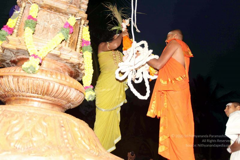 File:20101220IMG 6680 CMP WM0010.jpg