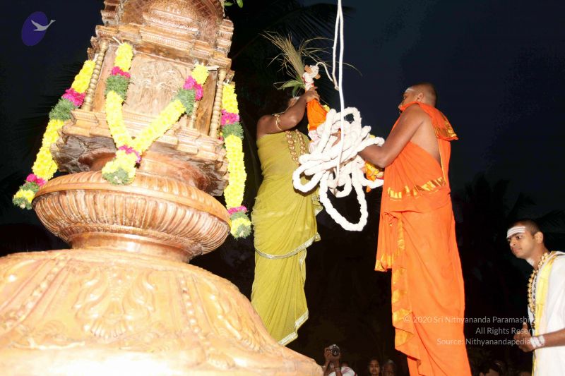 File:20101220IMG 6681 CMP WM0010.jpg