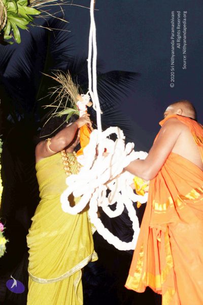 File:20101220IMG 6684 CMP WM0010.jpg