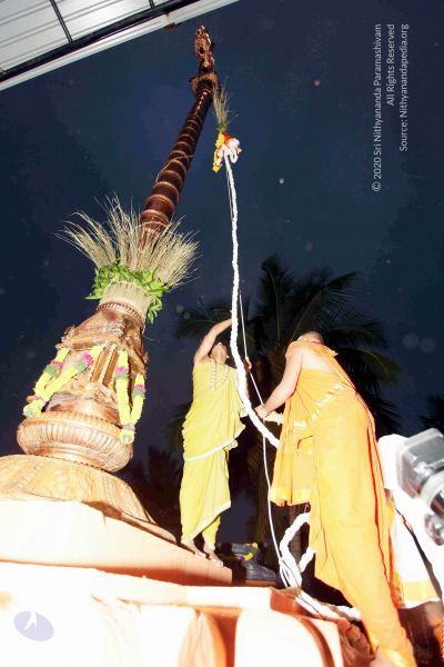 File:20101220IMG 6693 CMP WM0010.jpg