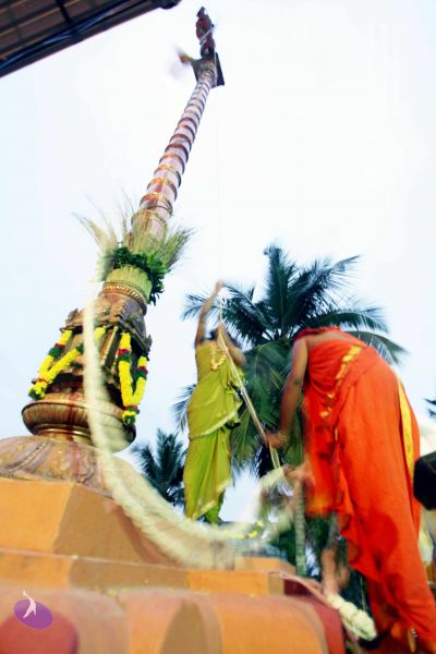 File:20101220IMG 6695 CMP WM0010.jpg