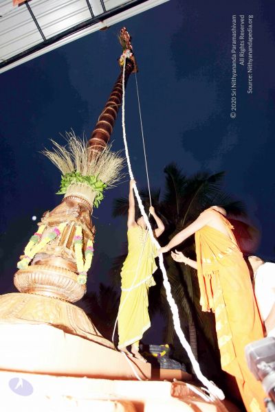 File:20101220IMG 6696 CMP WM0010.jpg