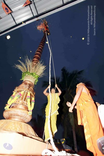 File:20101220IMG 6697 CMP WM0010.jpg