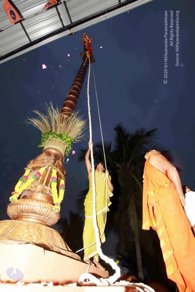 File:20101220IMG 6700 CMP WM0010.jpg