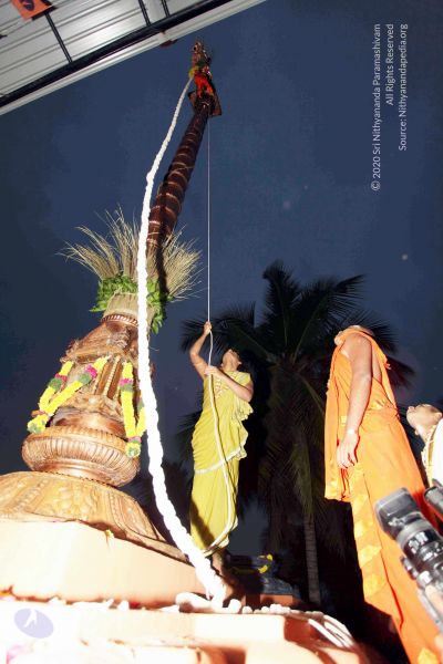 File:20101220IMG 6703 CMP WM0010.jpg