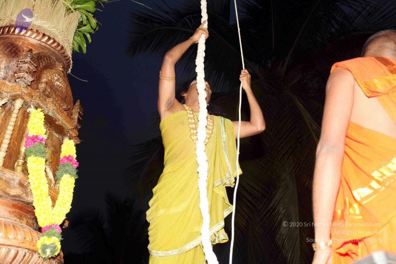 File:20101220IMG 6704 CMP WM0010.jpg