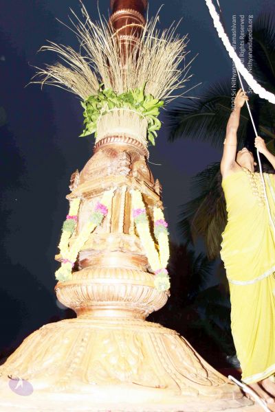 File:20101220IMG 6705 CMP WM0010.jpg