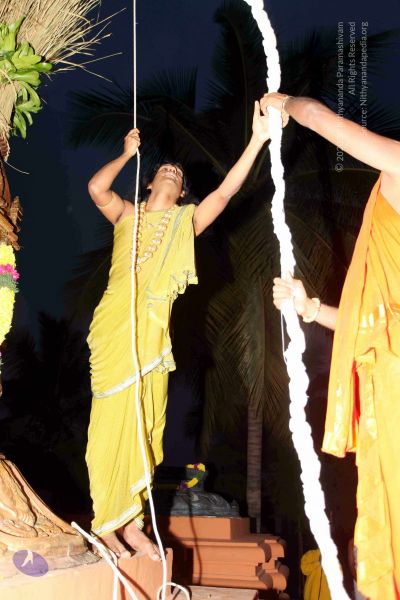 File:20101220IMG 6706 CMP WM0010.jpg