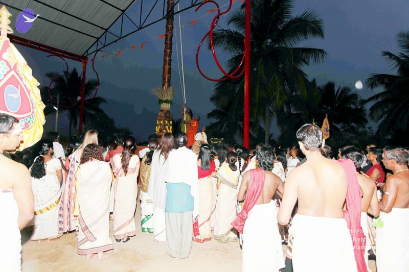 File:20101220IMG 6711 CMP WM0010.jpg