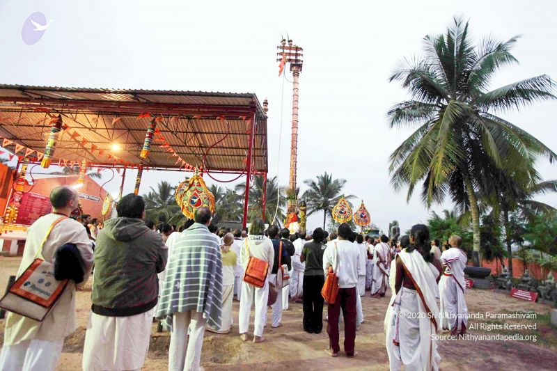 File:20101220IMG 6713 CMP WM0010.jpg