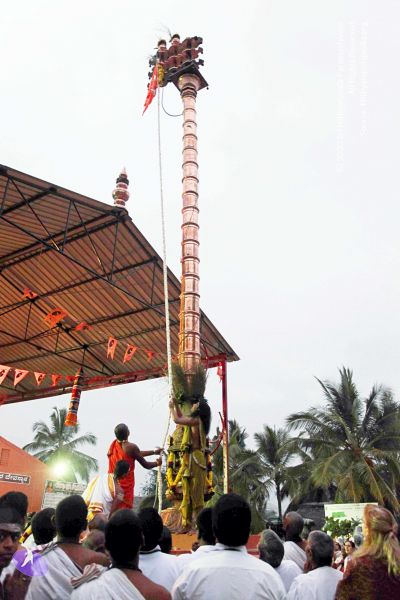 File:20101220IMG 6718 CMP WM0010.jpg