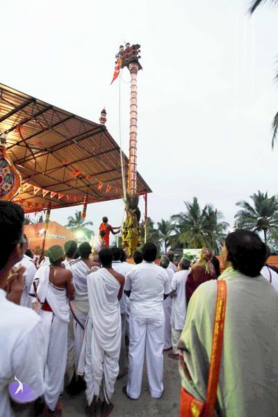 File:20101220IMG 6719 CMP WM0010.jpg