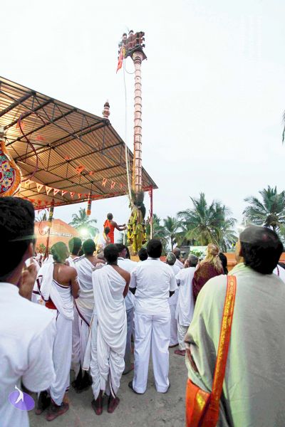 File:20101220IMG 6720 CMP WM0010.jpg