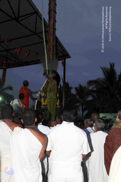 File:20101220IMG 6722 CMP WM0010.jpg