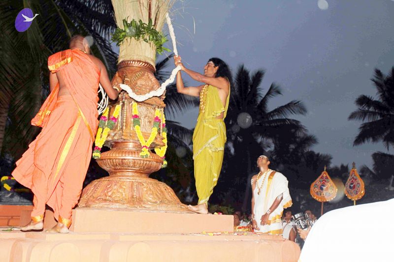 File:20101220IMG 6730 CMP WM0010.jpg