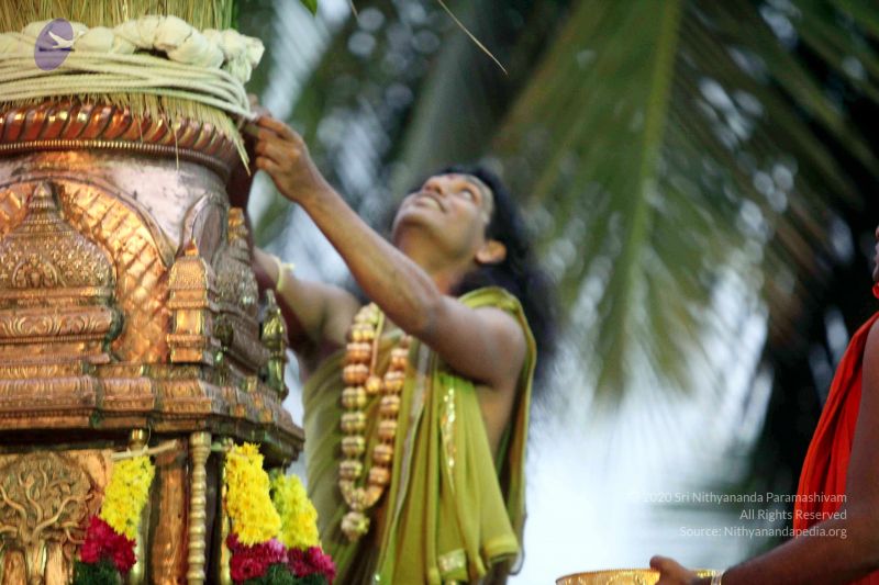 File:20101220IMG 6739 CMP WM0010.jpg