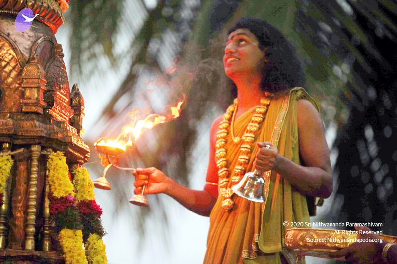 File:20101220IMG 6764 CMP WM0010.jpg