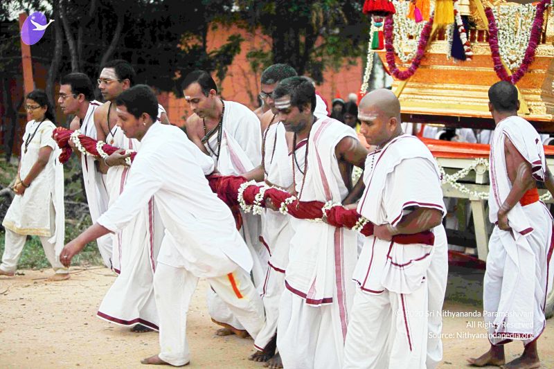 File:20101220IMG 6861 CMP WM01010101.jpg