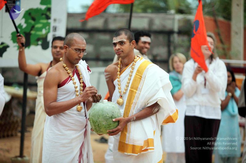 File:20101220IMG 6915 CMP WM0010.jpg