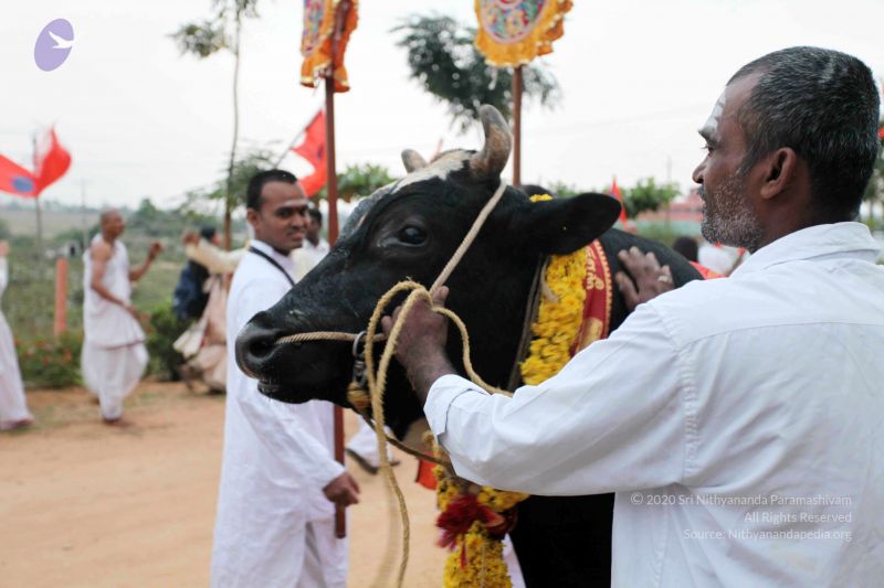 File:20101220IMG 6988 CMP WM01010101.jpg