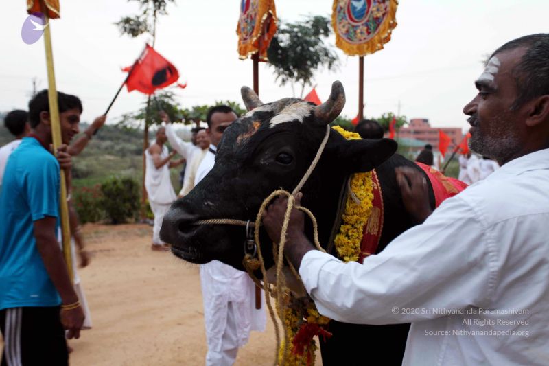 File:20101220IMG 6989 CMP WM01010101.jpg