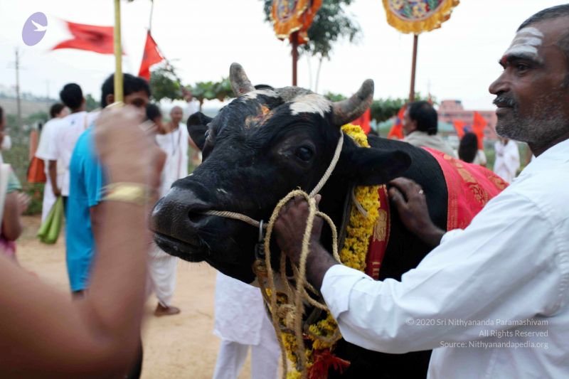 File:20101220IMG 6990 CMP WM01010101.jpg