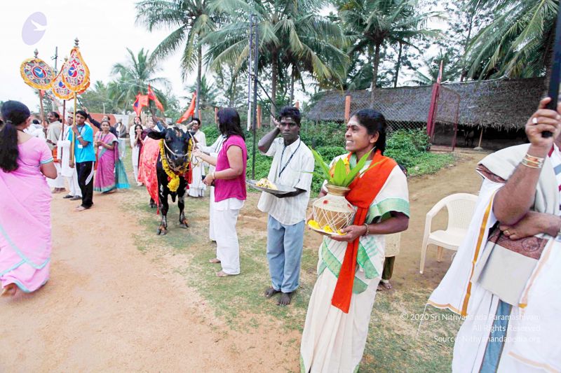 File:20101220IMG 6991 CMP WM01010101.jpg