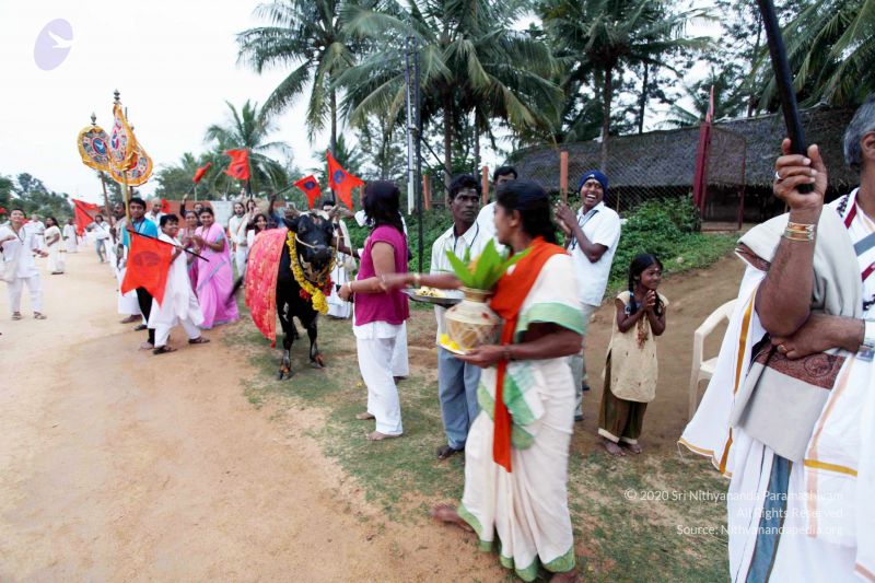 File:20101220IMG 6992 CMP WM01010101.jpg