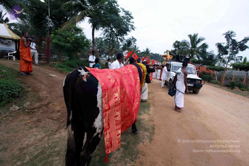 File:20101220IMG 6998 CMP WM01010101.jpg