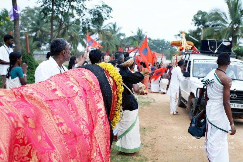 File:20101220IMG 7000 CMP WM01010101.jpg