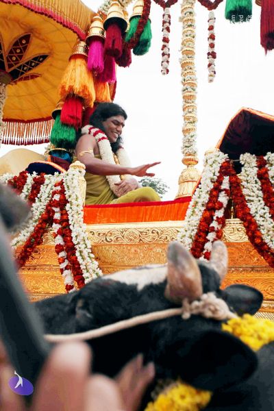 File:20101220IMG 7028 CMP WM0010.jpg