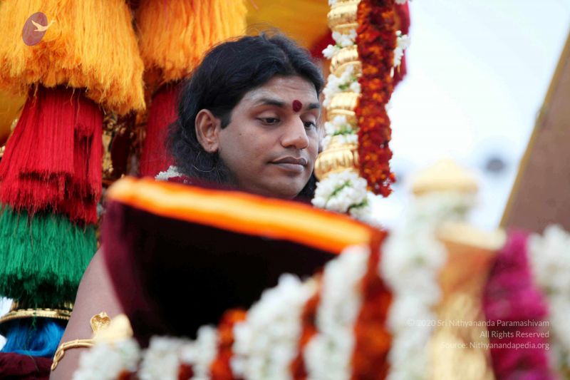 File:20101220IMG 7184 CMP WM01010101.jpg