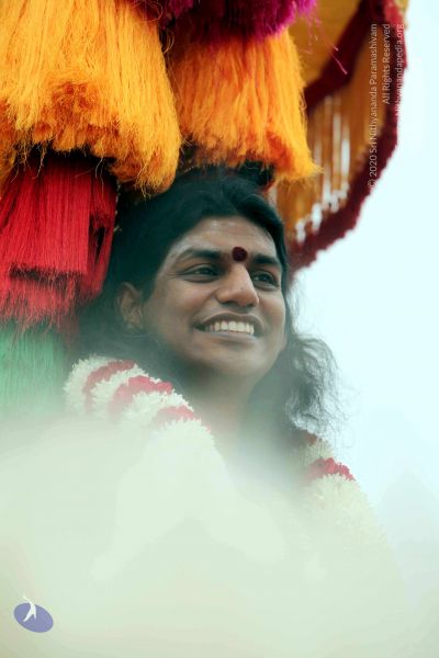 File:20101220IMG 7197 CMP WM0010.jpg