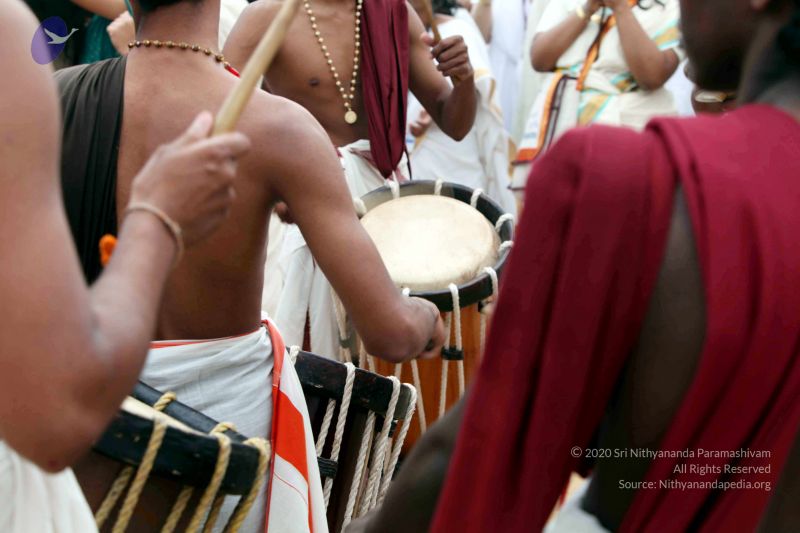 File:20101220IMG 7266 CMP WM0010.jpg