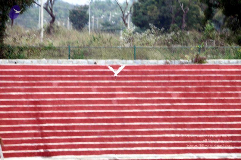 File:20101220IMG 7381 CMP WM01010101.jpg