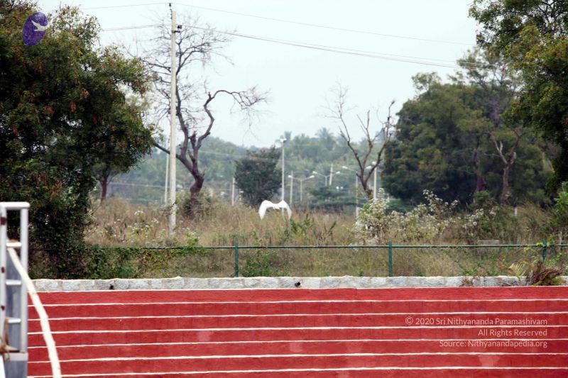 File:20101220IMG 7382 CMP WM01010101.jpg