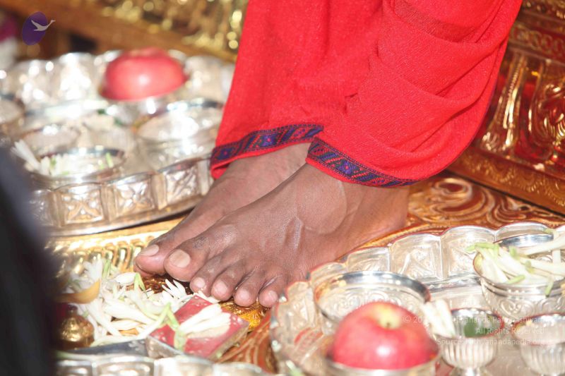 File:20101220 Photo 1100 1sCmQEjUhSooK33yGiLzOgCEUO0R4gRbB.JPG