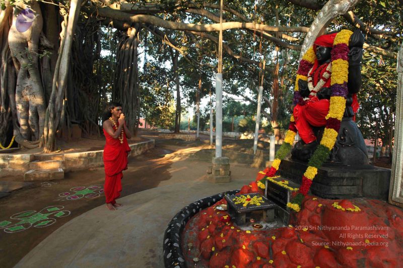 File:20101222 Photo 1095 1HHU2cwm ZWaj-GKGuMMbBzMvv0bw2mmU.JPG