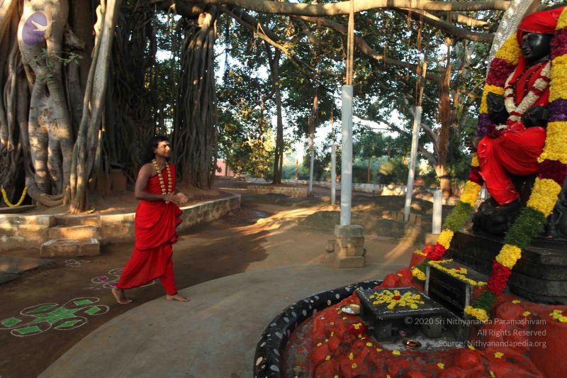 File:20101222 Photo 1096 1HFtZJksrV567GErjpJJ4W5EFm7dpEs5Z.JPG