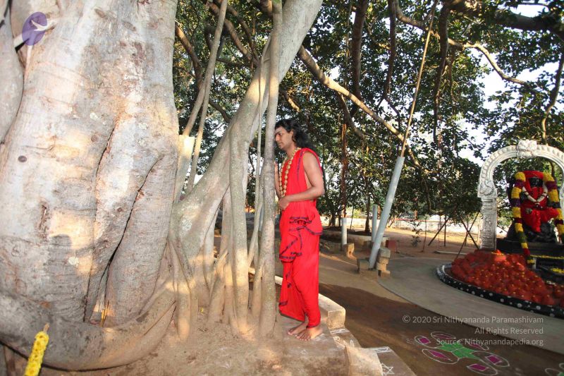 File:20101222 Photo 1103 1DD89nFlE1skqhlTA0LBjjpNWM1q0klbq.JPG