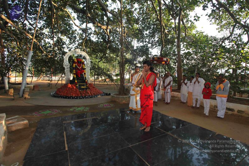 File:20101222 Photo 1110 1WBxmeto7gzS51J6hGXPEyO82Rbk0Laao.JPG