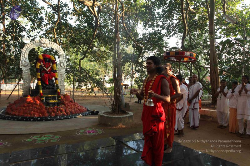 File:20101222 Photo 1114 1tnD 293twoNzXt2x3W8 uyiN135XKuXT.JPG