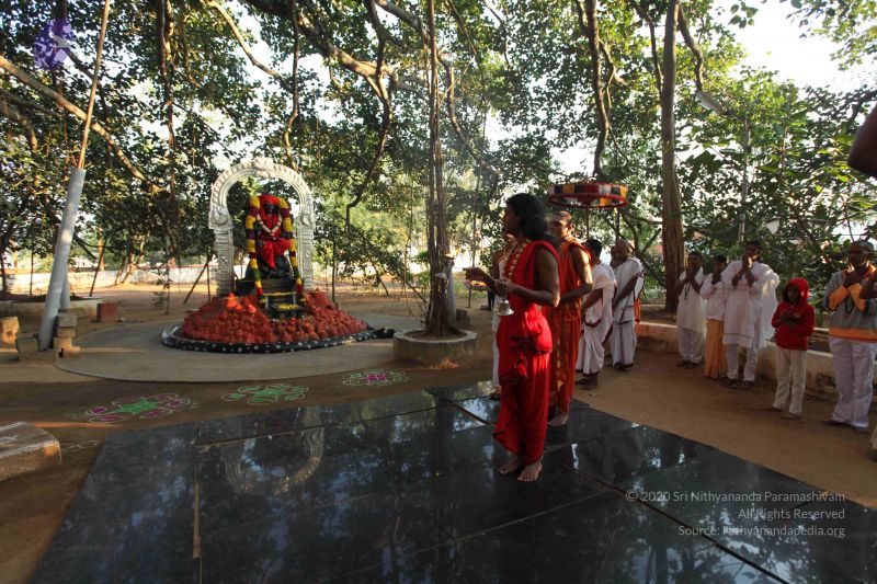 File:20101222 Photo 1116 16wGmBAl7PK0eLUxL-hTi2AFOFj54Em1u.JPG